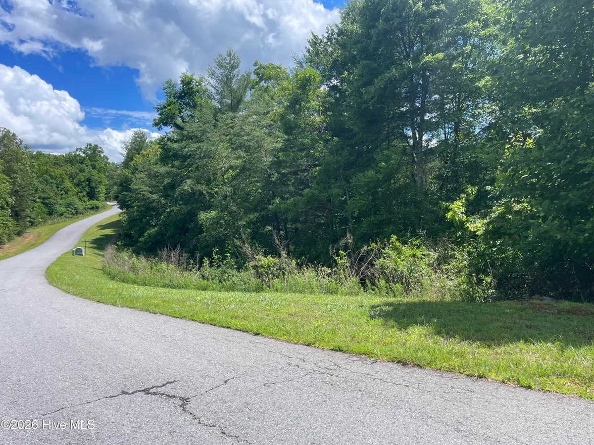 0 River Mountain Road, Murphy, NC 28906 - #1