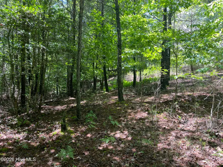 0 River Mountain Road, Murphy, NC 28906 - #2