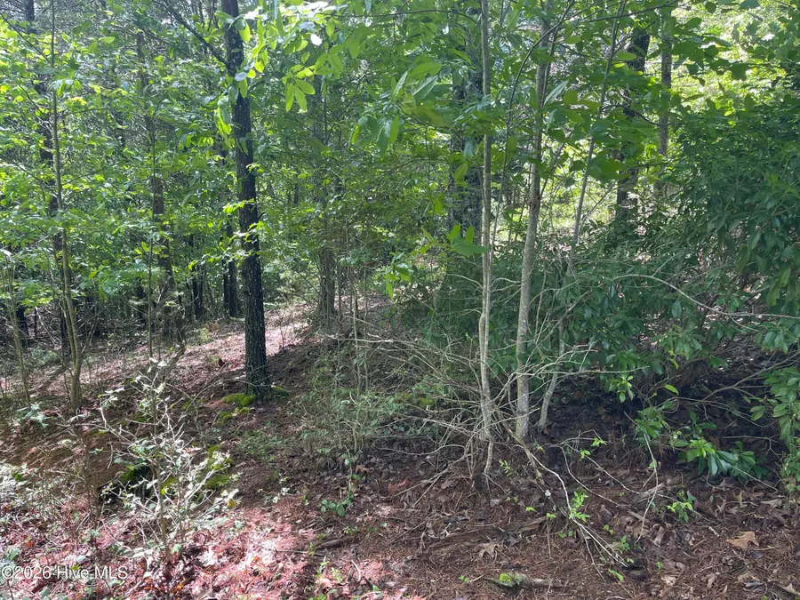 0 River Mountain Road, Murphy, NC 28906 - #3