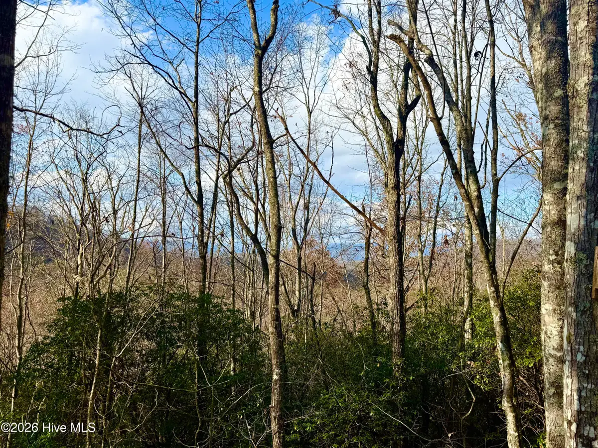 00 Ridgeline Drive, Brasstown, NC 28902 - #1