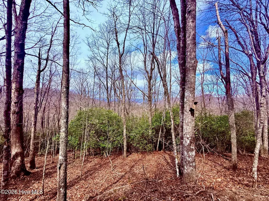 00 Ridgeline Drive, Brasstown, NC 28902 - #3