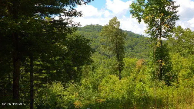 16 Tyler Ridge, Murphy, NC 28906 - #1
