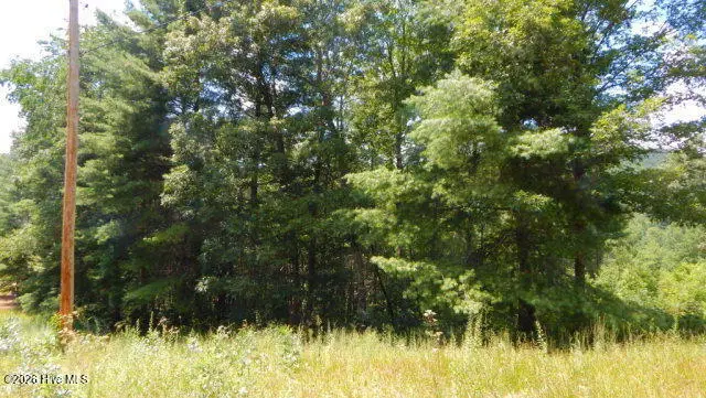 16 Tyler Ridge, Murphy, NC 28906 - #2