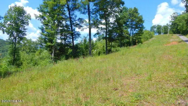 16 Tyler Ridge, Murphy, NC 28906 - #3