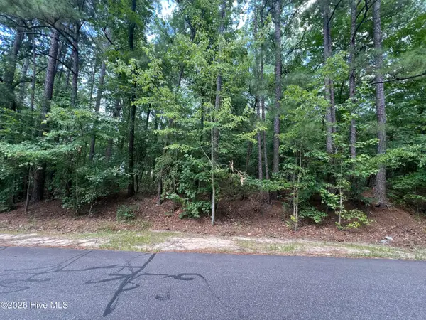 307 Thimbleberry Drive, Vass, NC 28394