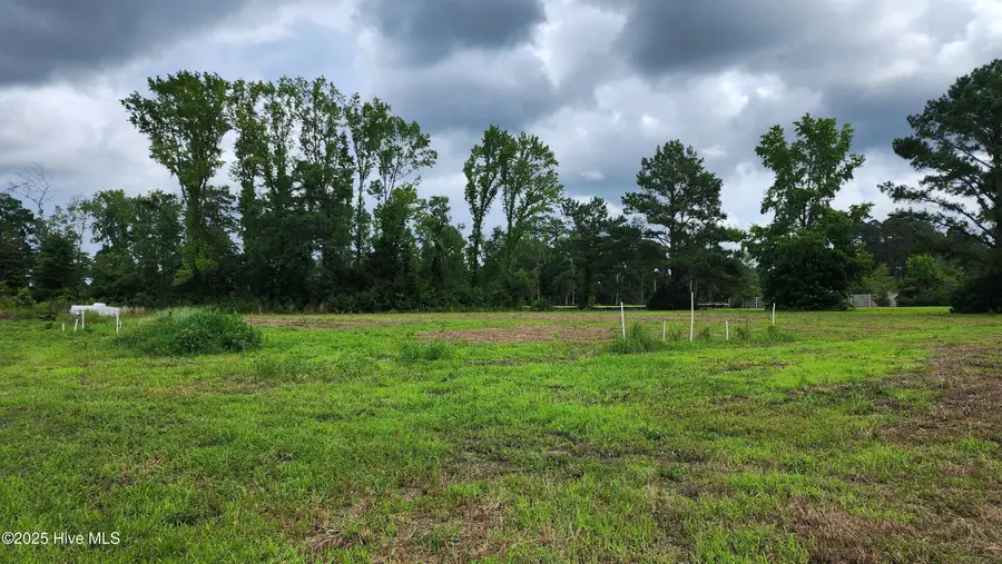 111 Blanche Street, Chadbourn, NC 28431 - #3