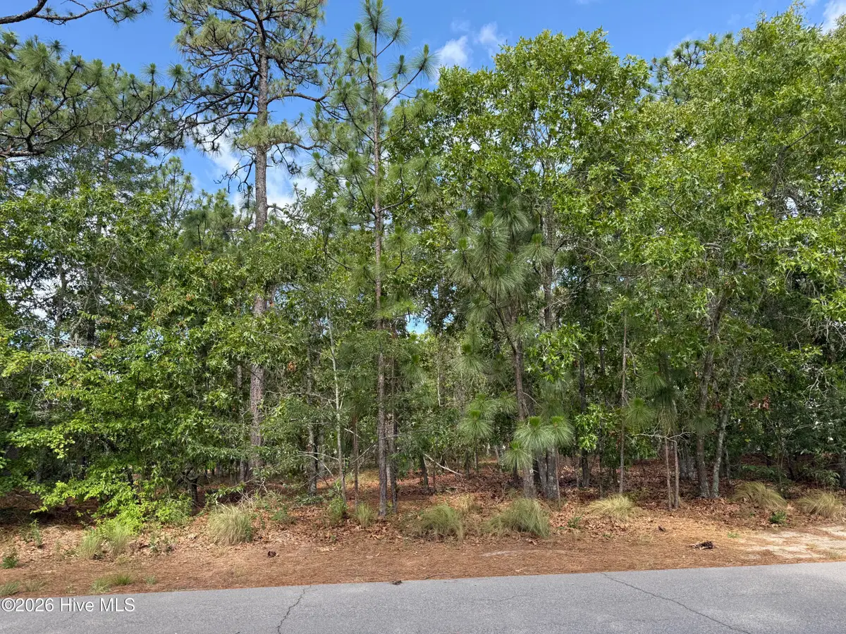 13 Kahkwa Trail, Pinehurst, NC 28374 - #1