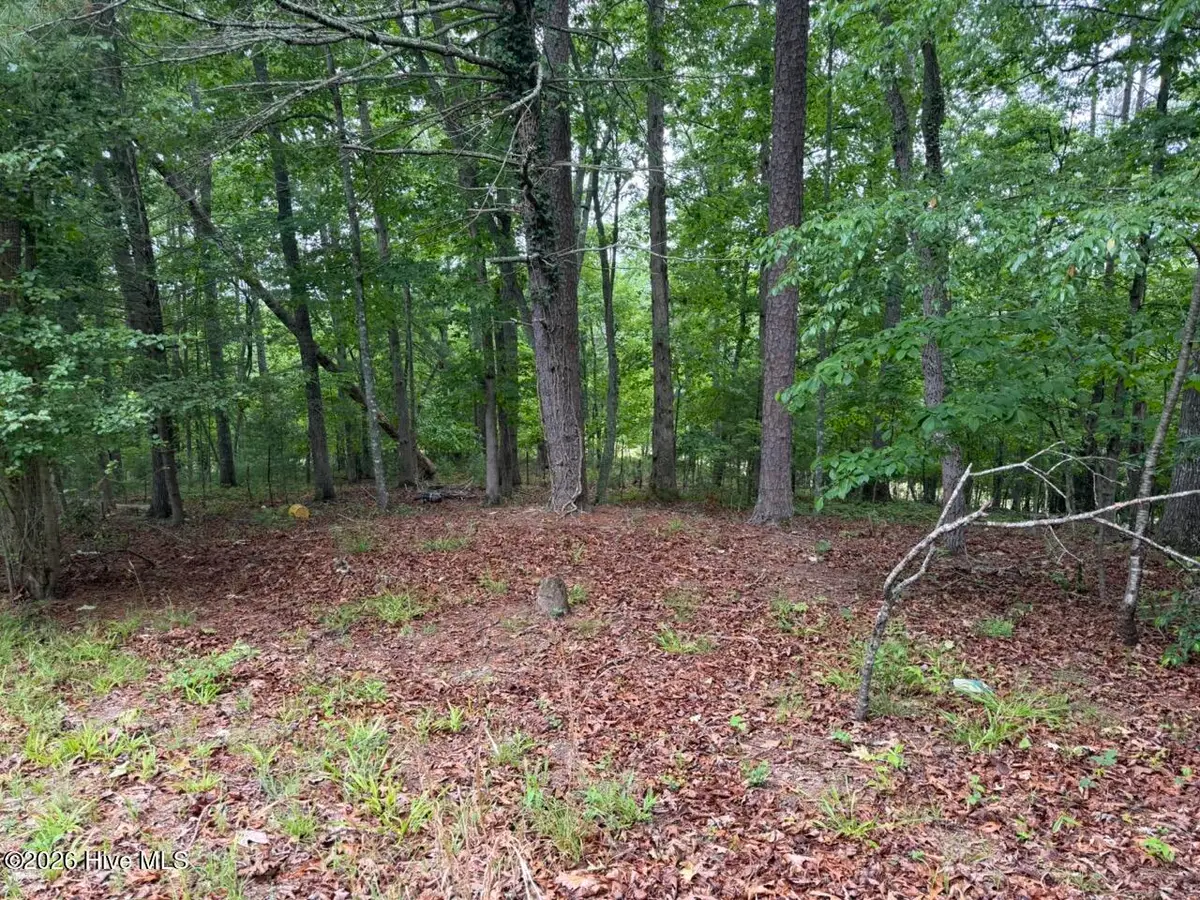 274 Snow Hill Ridge Road, Murphy, NC 28906 - #1