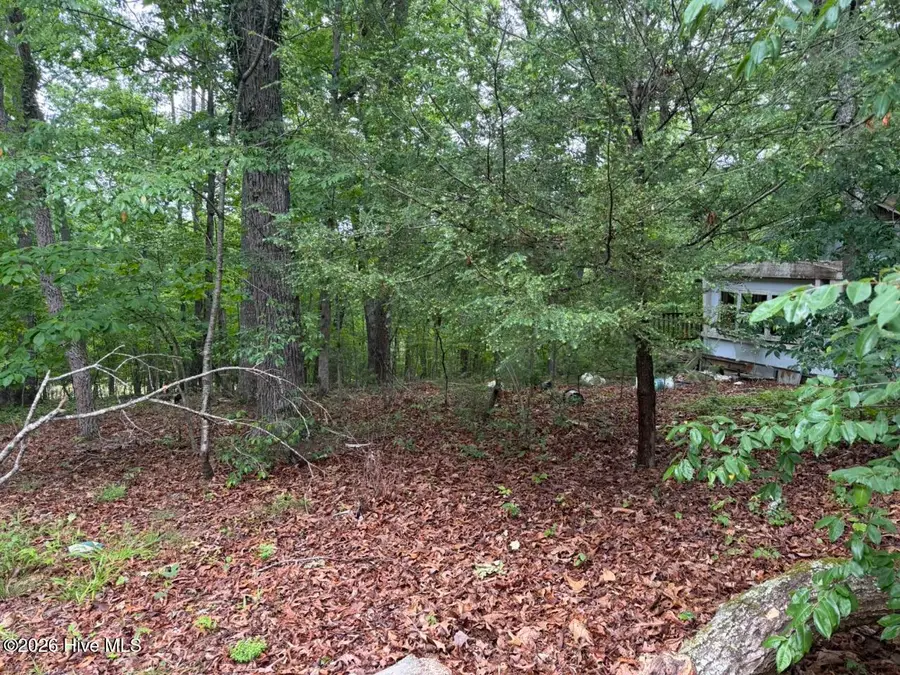 274 Snow Hill Ridge Road, Murphy, NC 28906 - #2