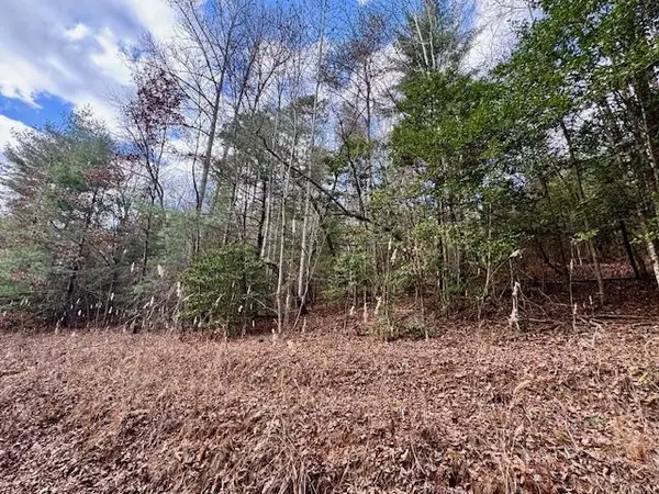 Lot 9 Timberline Road, Murphy, NC 28906