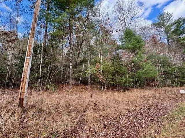 Lot 9 Timberline Road, Murphy, NC 28906 - #2