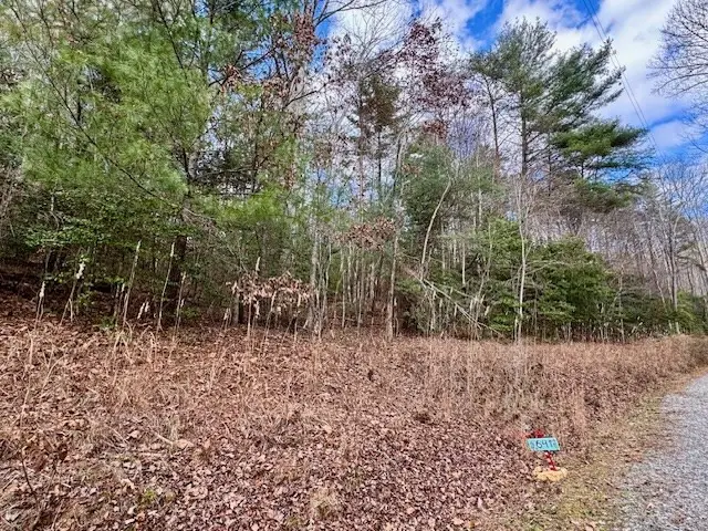 Lot 9 Timberline Road, Murphy, NC 28906 - #3