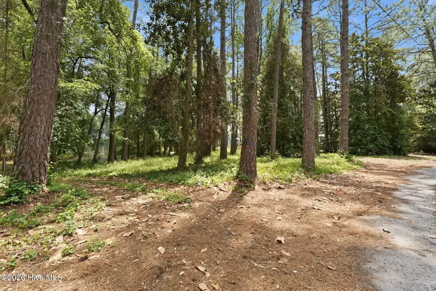 55 Apawamis Circle, Pinehurst, NC 28374 - #3