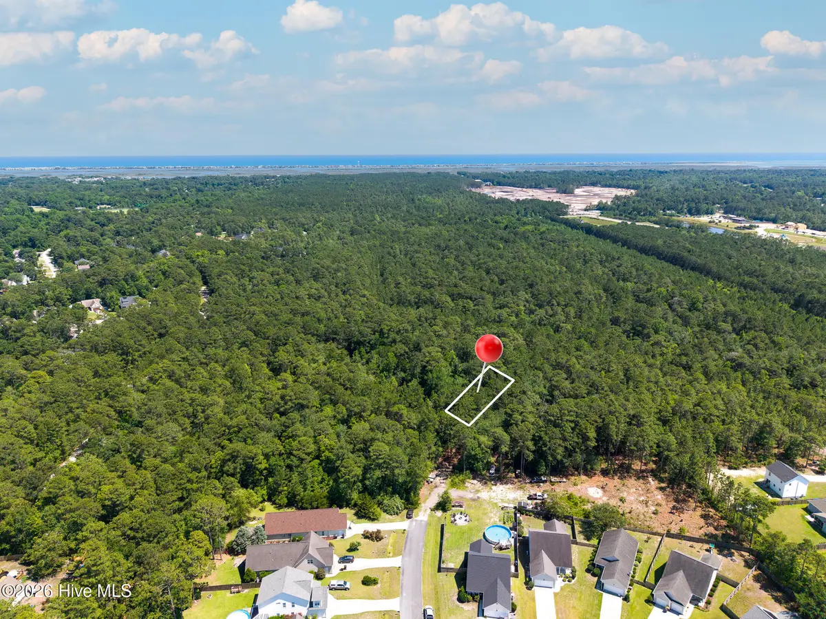 000 Leeward Lane, Hampstead, NC 28443 - #1