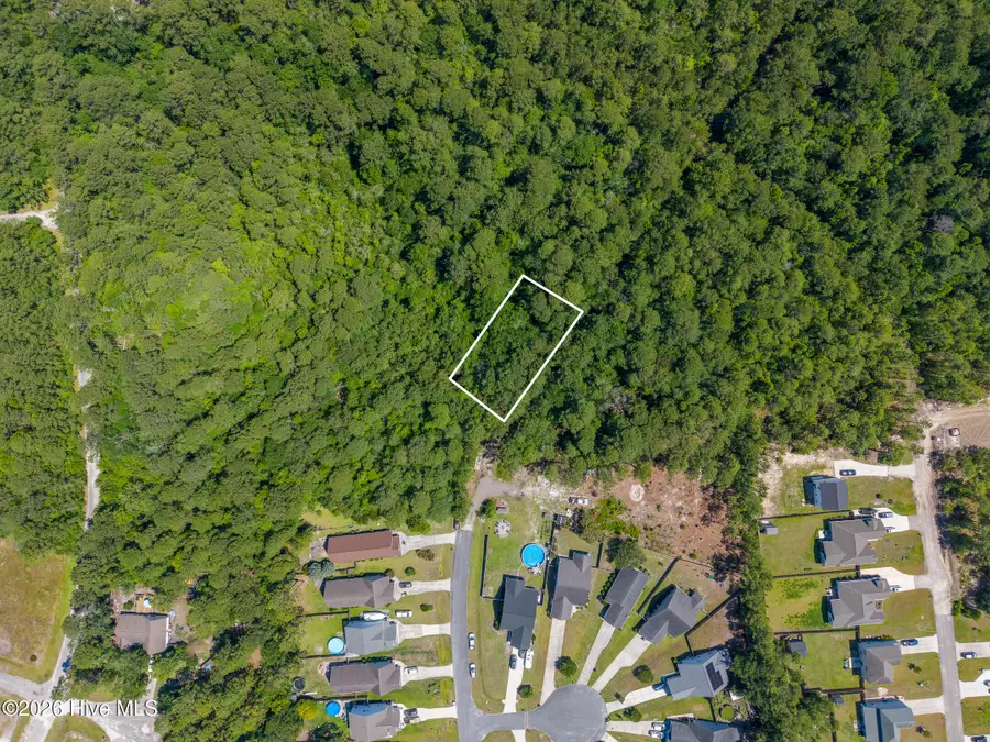 000 Leeward Lane, Hampstead, NC 28443 - #2