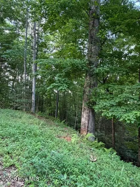 Lot 59 Quiet Mountain Trail, Murphy, NC 28906