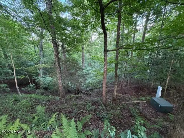 Lot 59 Quiet Mountain Trail, Murphy, NC 28906 - #2