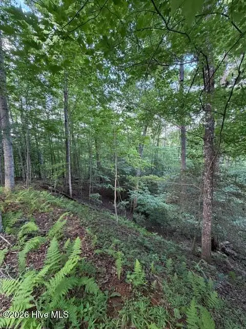 Lot 59 Quiet Mountain Trail, Murphy, NC 28906 - #3