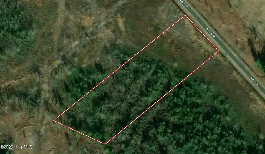 0 Near 10769 Old 74, Evergreen, NC 28438 - #2