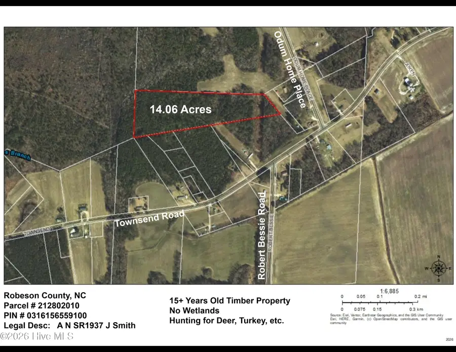Lot 8 Odum Home Place Road, Saint Pauls, NC 28384 - #2