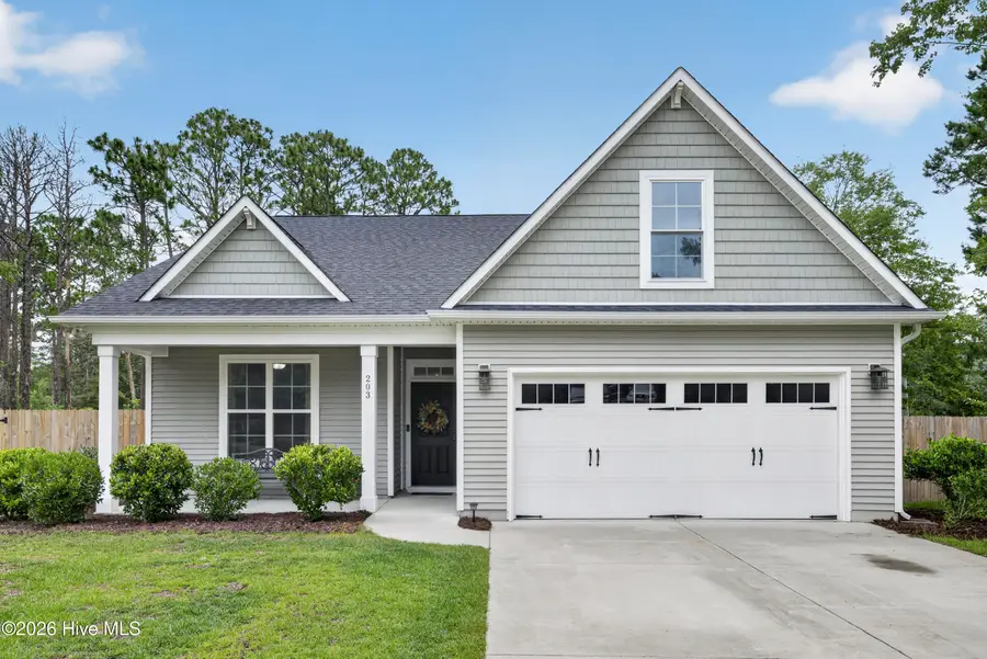 203 E Frampton Court, Hampstead, NC 28443 - #2