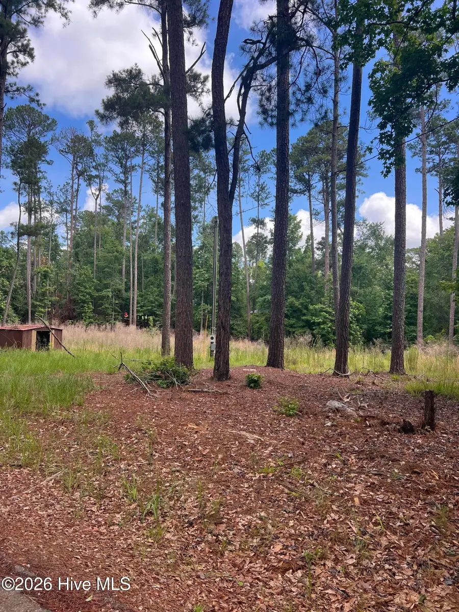 1048 Pawnee Drive, Lincolnton, GA 30817 - #2