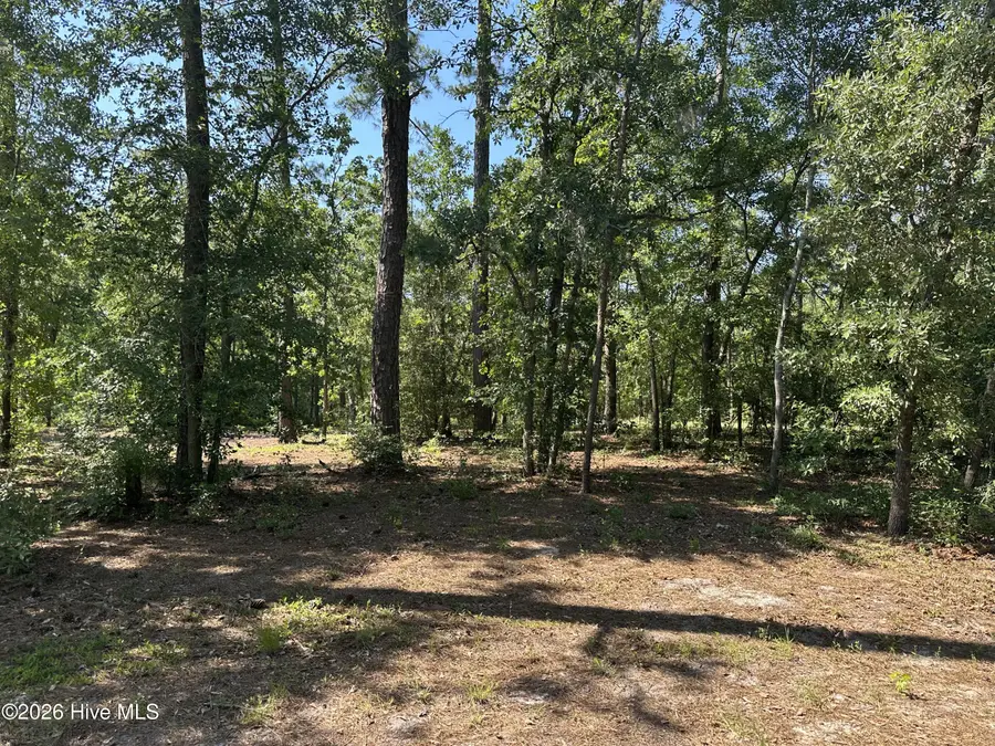 2 Big Eagle Road, Atkinson, NC 28421 - #3