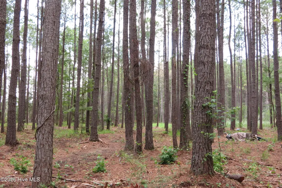 3231 Orchard Creek Road, Oriental, NC 28571 - #1