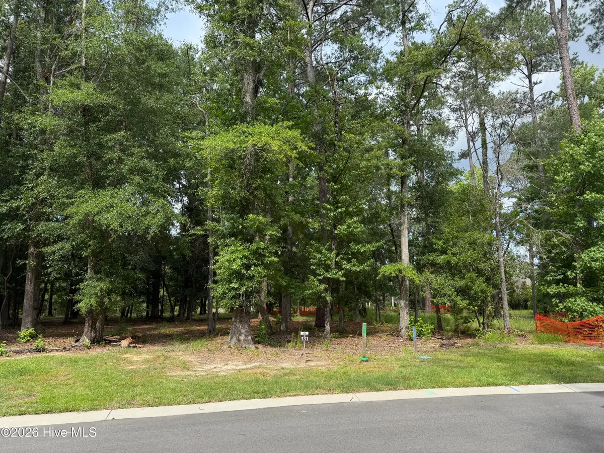 3698 Excelsior Lane, Castle Hayne, NC 28429 - #1
