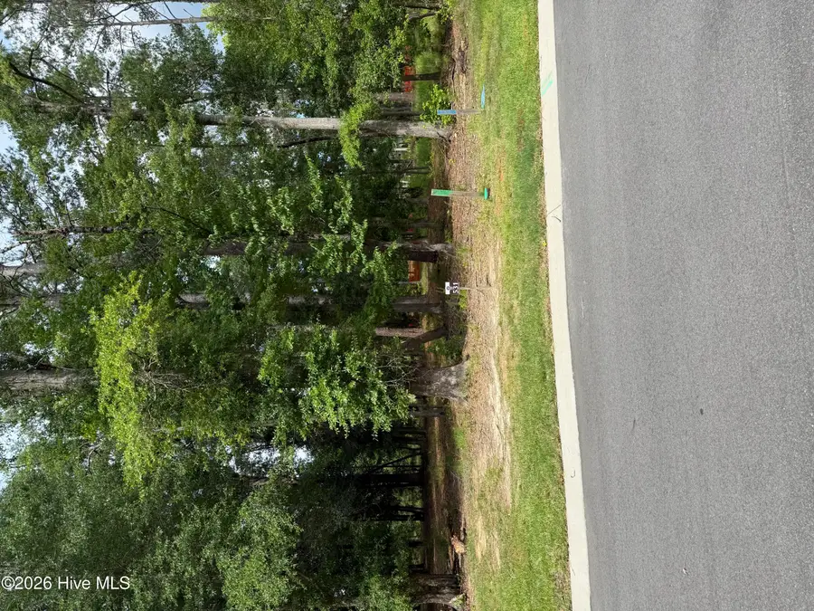 3698 Excelsior Lane, Castle Hayne, NC 28429 - #2