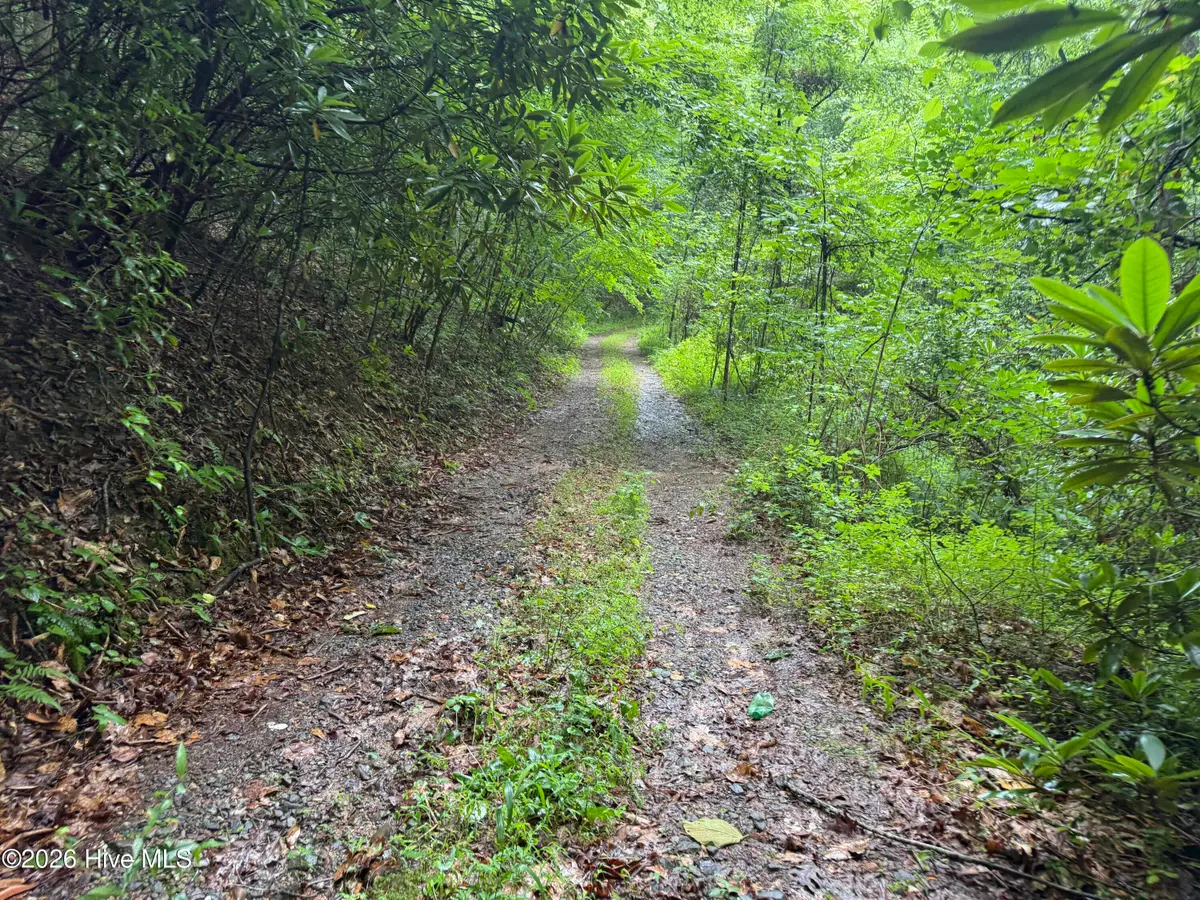 00 Poley Morrow Road, Murphy, NC 28906 - #1