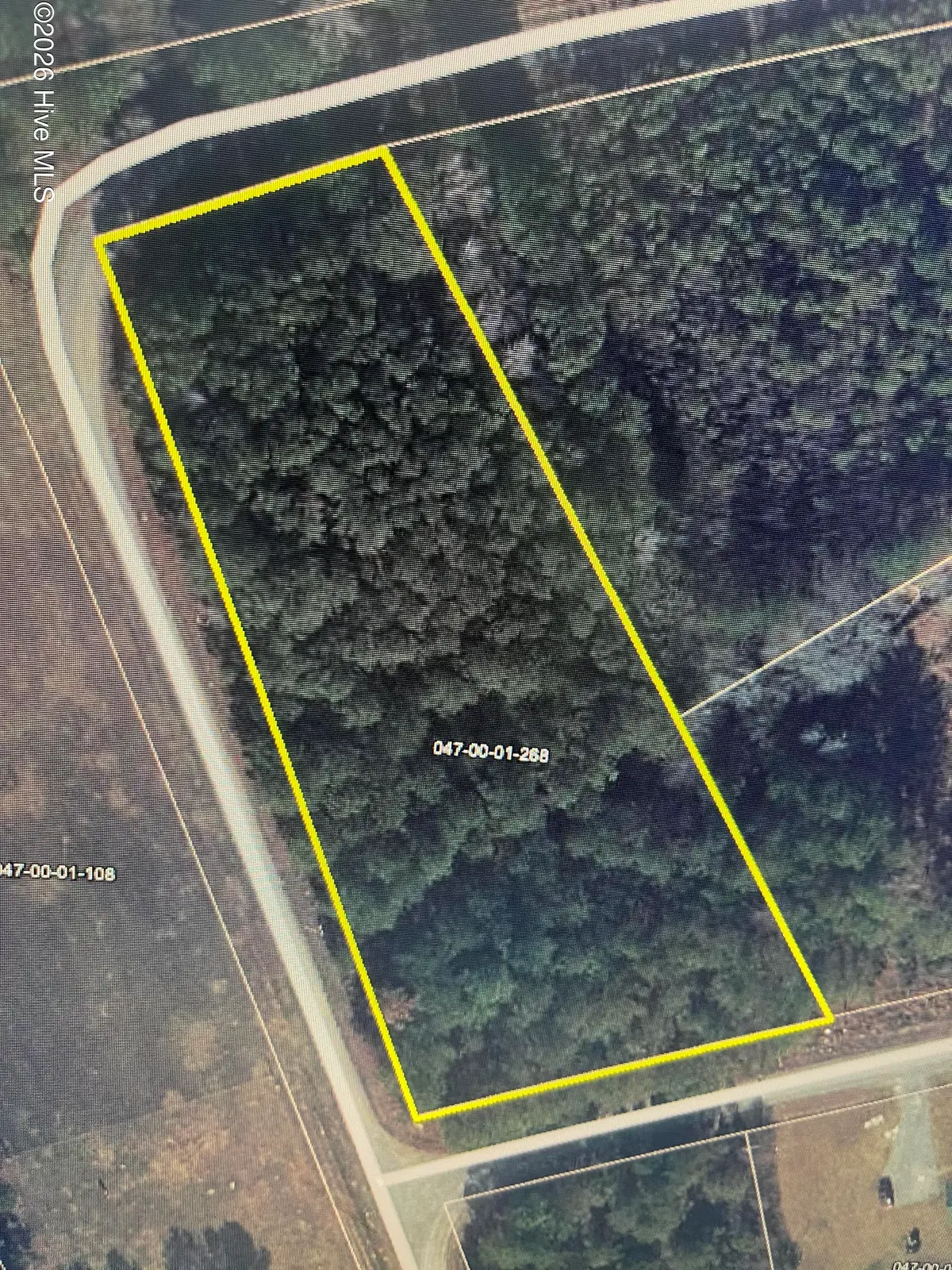 Tbd Curly Lane, Bennettsville, SC 29512 - #1