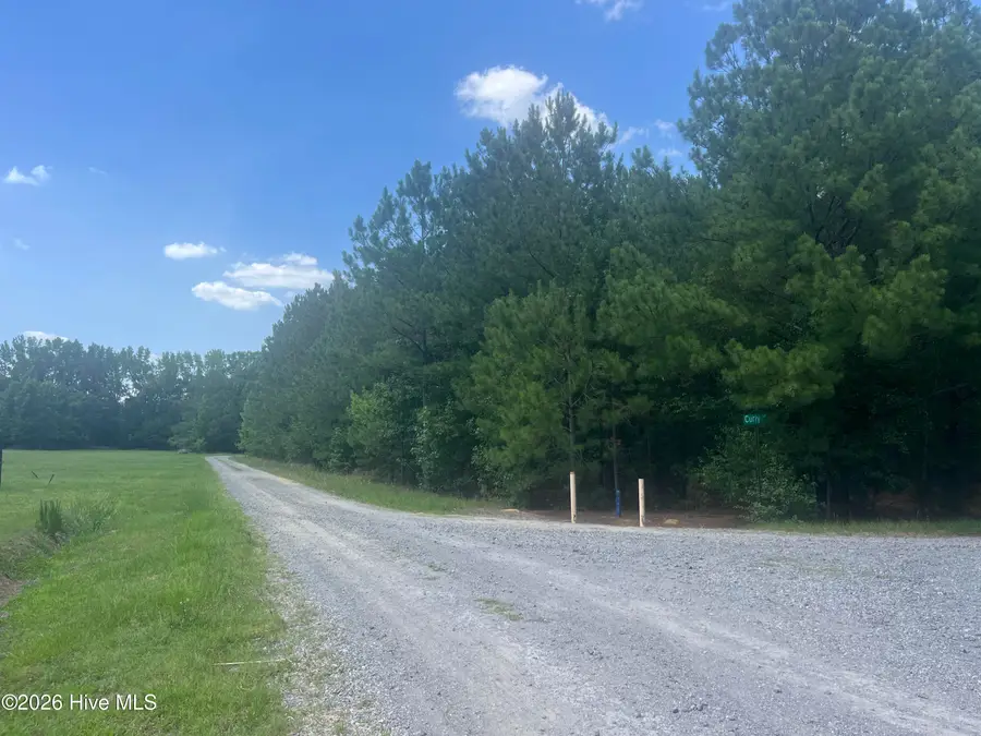 Tbd Curly Lane, Bennettsville, SC 29512 - #2