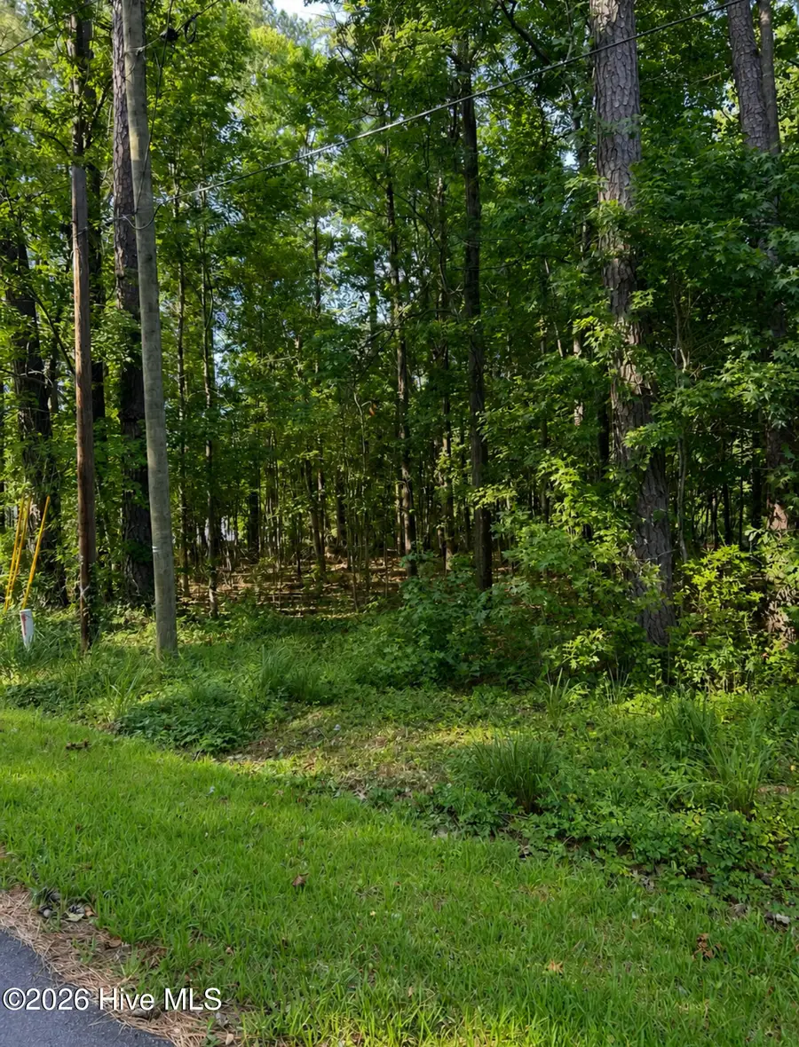 421 Coral Lane, Edenton, NC 27932 - #2