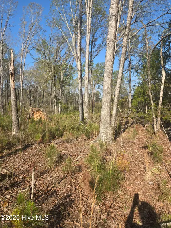 0 Mercier Road, Lincolnton, GA 30817