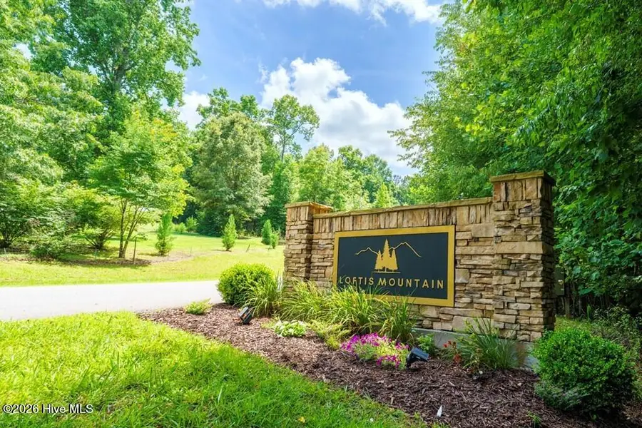 Lot 20 Loftis Mountain Way, Blairsville, GA 30512 - #3