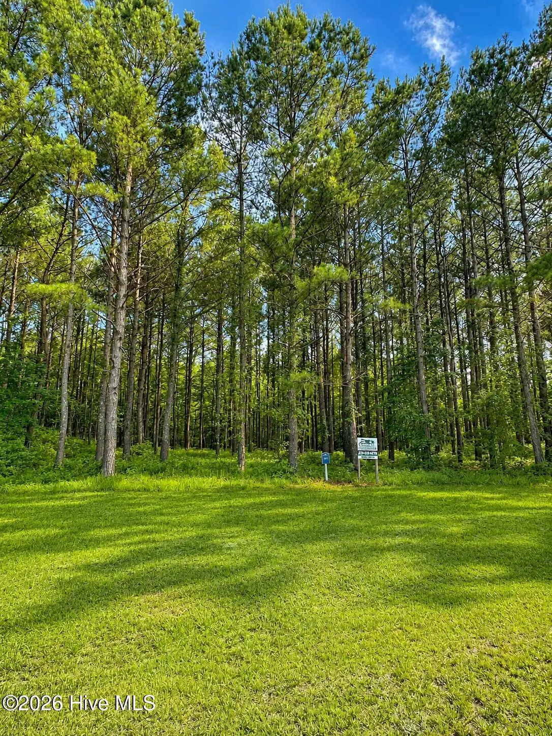 117 Colleton Circle, Edenton, NC 27932 - #1