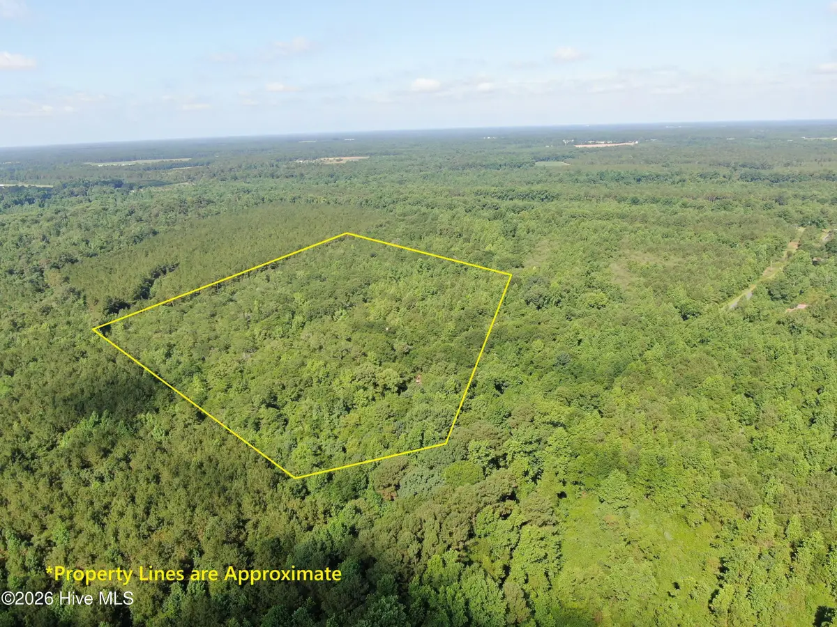 Tbd Oliver Carlton Road, Warsaw, NC 28398 - #1