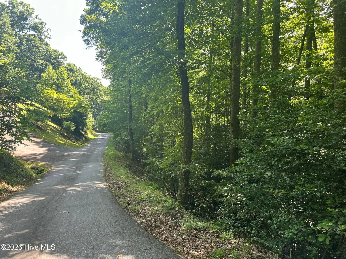 6 Bartram Trail Road, Franklin, NC 28734 - #1