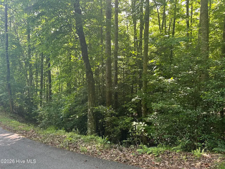 6 Bartram Trail Road, Franklin, NC 28734 - #2