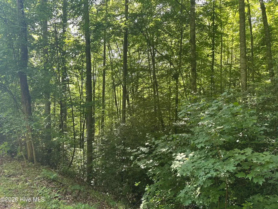 6 Bartram Trail Road, Franklin, NC 28734 - #3