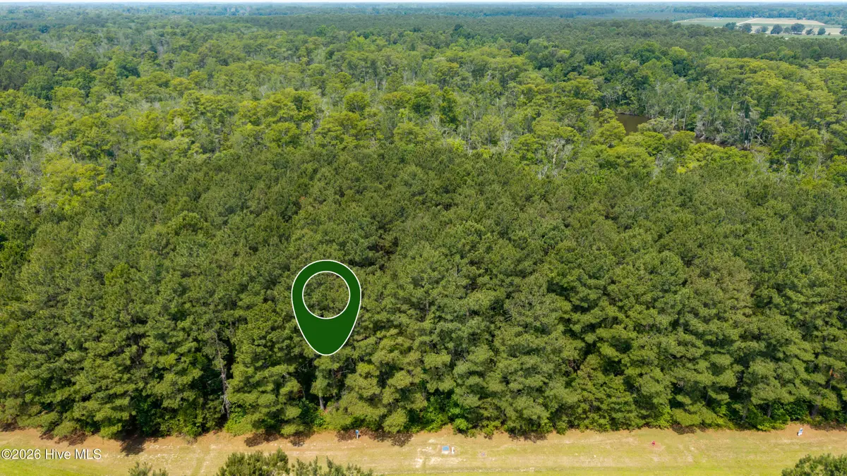 300 Plumtree Court, Edenton, NC 27932 - #1