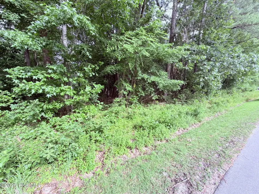 73 Laurel Street, Hertford, NC 27944 - #3
