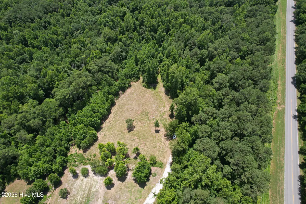 00 Old Chinquapin Road, Beulaville, NC 28518 - #1