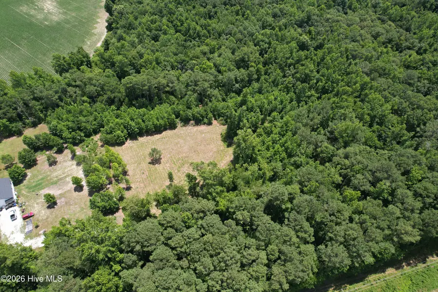 00 Old Chinquapin Road, Beulaville, NC 28518 - #3