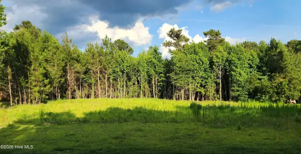 Lot 1 Tracy Drive, Burgaw, NC 28425