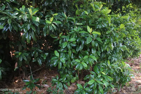 Lot 20 Grant Drive, Goldsboro, NC 27534