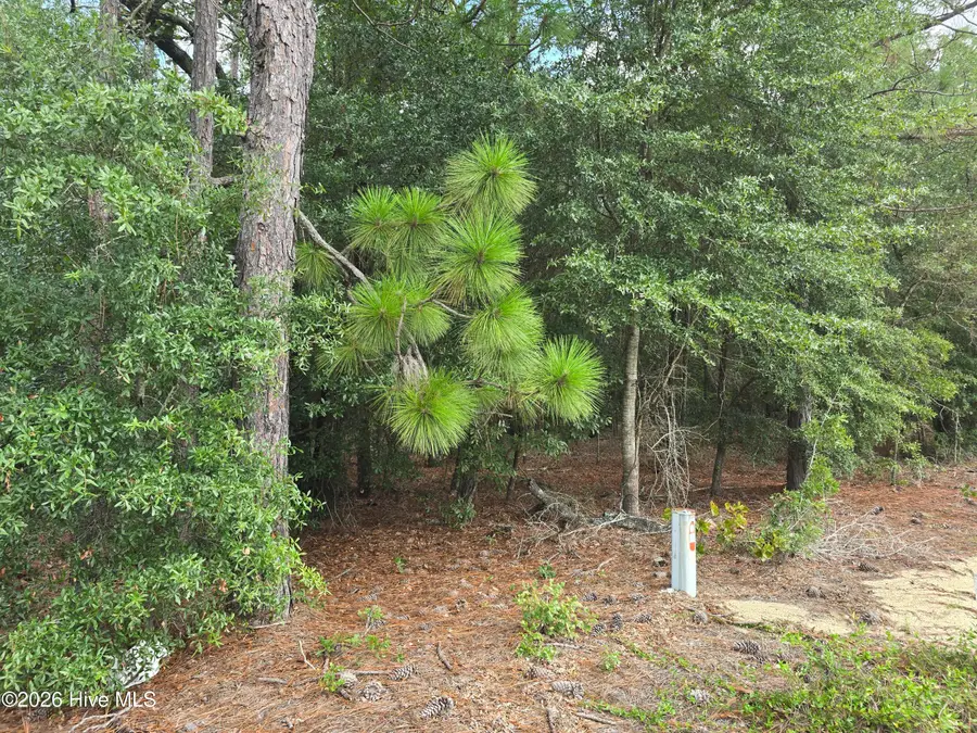 317 R J Johnson Road, Allendale, SC 29810 - #2