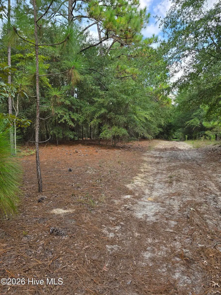 317 R J Johnson Road, Allendale, SC 29810 - #3