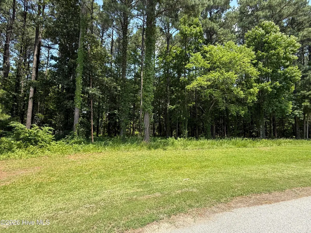 18 Indian Town Creek Drive, Hertford, NC 27944 - #1